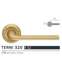Extreza TERNI (Терни) 320 дверная ручка на розетке R02