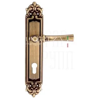 Дверная ручка Extreza "DEZI" (Дези) 309 на планке PL02