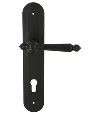 Дверная ручка Extreza "DANIEL" (Даниел) 308 на планке PL05