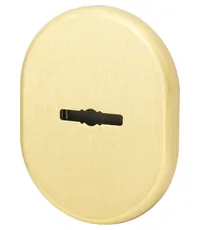 Декоративная накладка Armadillo (Армадилло) на сувальдный замок со шторкой PS-DEC CT (ATC Protector 1)