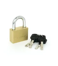 Замок навесной Palladium 302B-50