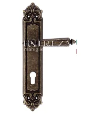 Дверная ручка Extreza "LEON" (Леон) 303 на планке PL02