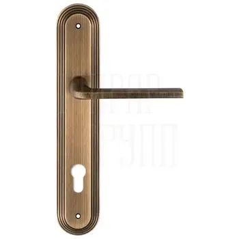 Дверная ручка Extreza "TERNI" (Терни) 320 на планке PL05