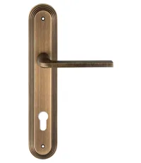 Дверная ручка Extreza "TERNI" (Терни) 320 на планке PL05