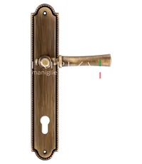 Дверная ручка Extreza "DEZI" (Дези) 309 на планке PL03