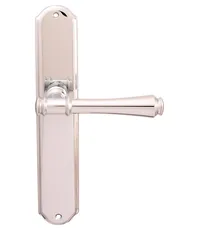 Дверная ручка на планке Melodia 245/131 "Tako"