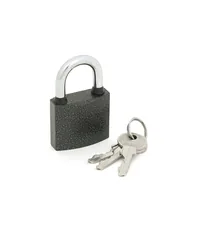 Замок навесной Palladium 303F-40