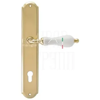 Дверная ручка Extreza "DANA" (Дана) 305 на планке PL01