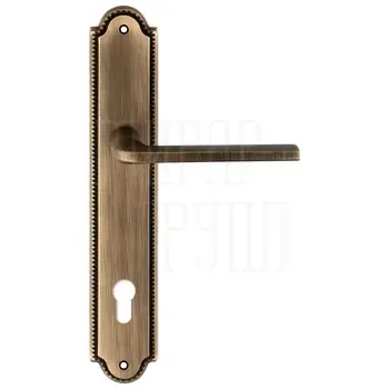 Дверная ручка Extreza "TERNI" (Терни) 320 на планке PL03