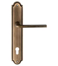 Дверная ручка Extreza "TERNI" (Терни) 320 на планке PL03