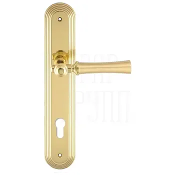 Дверная ручка Extreza "DEZI" (Дези) 309 на планке PL05