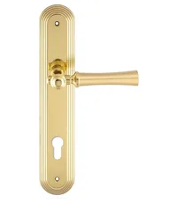 Дверная ручка Extreza "DEZI" (Дези) 309 на планке PL05