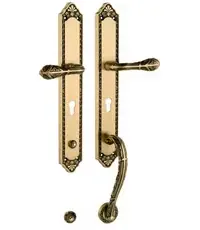 Ручка для входной двери Mestre OJ 2910