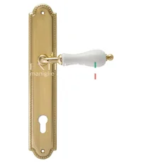 Дверная ручка Extreza "DANA" (Дана) 305 на планке PL03