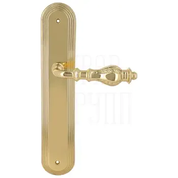 Дверная ручка Extreza "EVITA" (Эвита) 301 на планке PL05