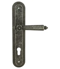 Дверная ручка Extreza "LEON" (Леон) 303 на планке PL05