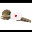 Дверная ручка Armadillo на круглой розетке 