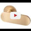 Дверная ручка Armadillo на квадратной розетке 